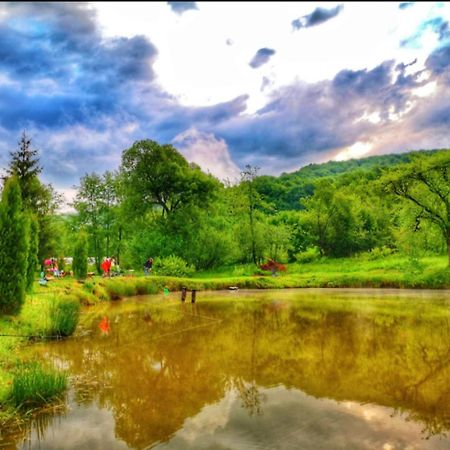Pensiunea Cerbul - Valea Dobarlaului Екстериор снимка