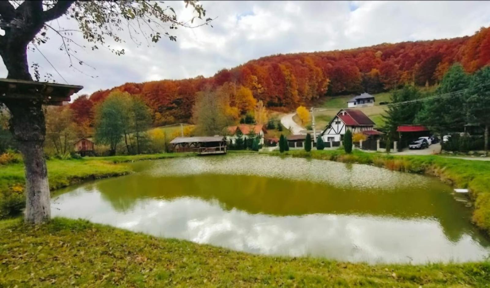 Pensiunea Cerbul - Valea Dobarlaului Екстериор снимка